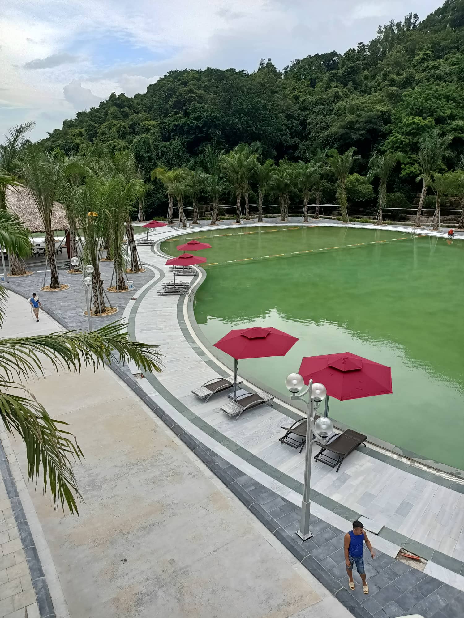 ô dù bể bơi resort